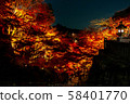 晚上清水寺 58401770