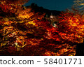 晚上清水寺 58401771
