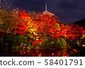 晚上清水寺 58401791