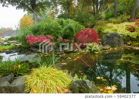 Majestic pond in Japanese garden in Majestic pond in Japanese garden in 58402377