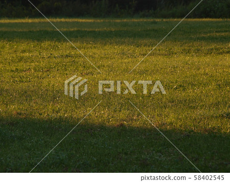 朝夕湯發光的草坪廣場 朝夕湯發光的草坪廣場 58402545