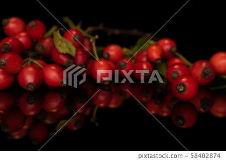 Fresh red rosehip isolated on black glass 58402874