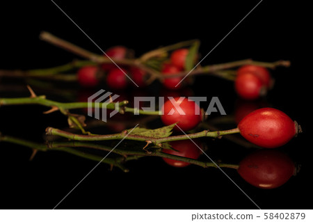 Fresh red rosehip isolated on black glass 58402879