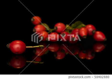Fresh red rosehip isolated on black glass 58402880
