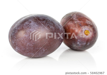 Sweet purple plum isolated on white 58402967