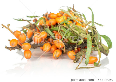 Sea buckthorn berry isolated on white 58402969
