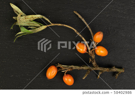Sea buckthorn berry on grey stone 58402986