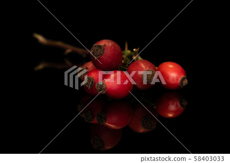 Fresh red rosehip isolated on black glass Fresh red rosehip isolated on black glass 58403033