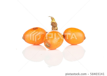 Sea buckthorn berry isolated on white 58403141
