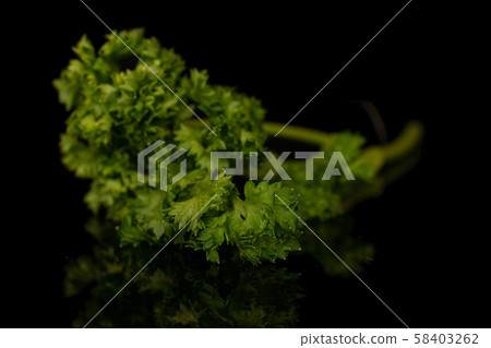 Fresh green parsley isolated on black glass Fresh green parsley isolated on black glass 58403262