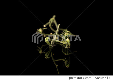 Fresh red tomato isolated on black glass 58403317