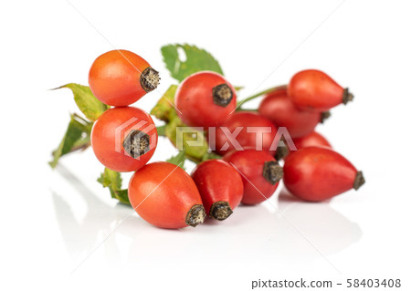 Fresh red rosehip isolated on white 58403408