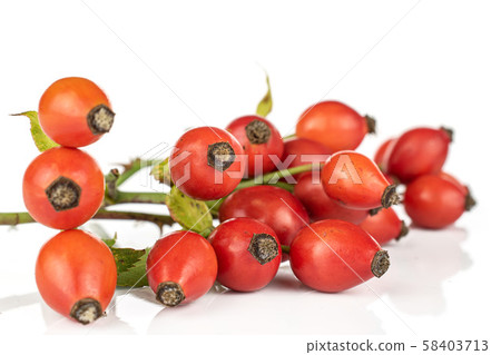 Fresh red rosehip isolated on white 58403713