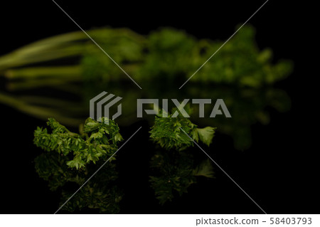 Fresh green parsley isolated on black glass Fresh green parsley isolated on black glass 58403793
