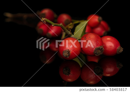 Fresh red rosehip isolated on black glass 58403817