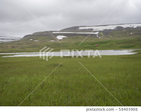 Abandoned red farm house in adalvik cove in west fjords nature reserve Hornstrandir in Iceland, with Abandoned red farm house in adalvik cove in west fjords nature reserve Hornstrandir in Iceland, with 58403908