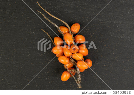 Sea buckthorn berry on grey stone 58403958