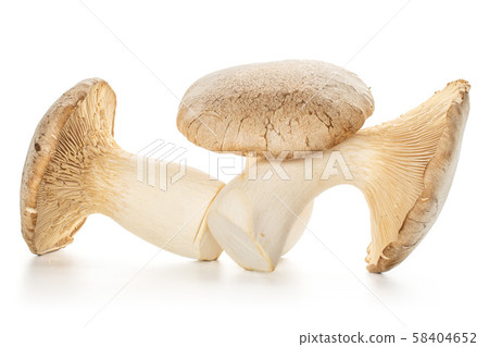 King trumpet mushroom isolated on white King trumpet mushroom isolated on white 58404652