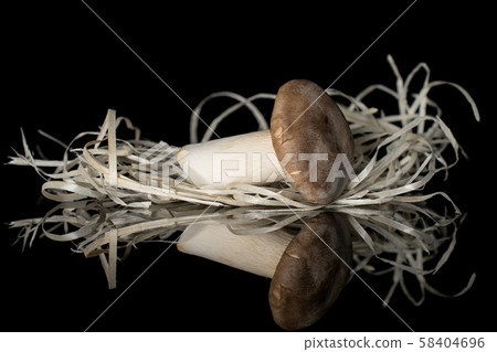 King trumpet mushroom isolated on black glass 58404696