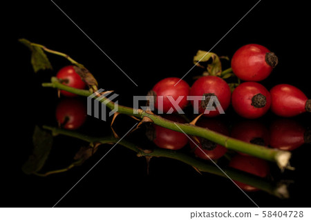 Fresh red rosehip isolated on black glass 58404728