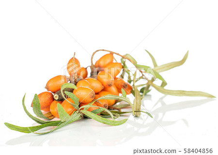 Sea buckthorn berry isolated on white 58404856