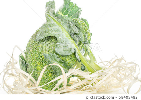 Fresh green broccoli isolated on white Fresh green broccoli isolated on white 58405482