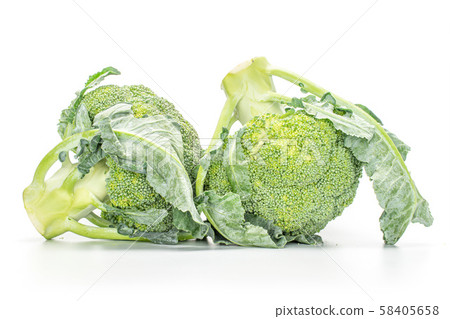 Fresh green broccoli isolated on white Fresh green broccoli isolated on white 58405658