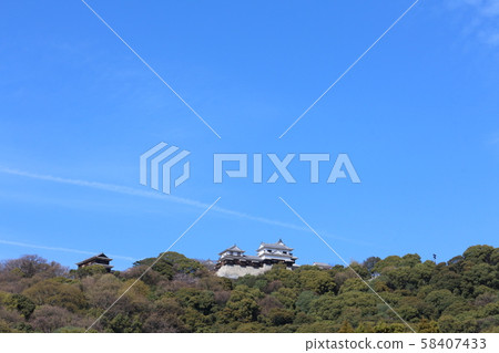 從城山公園看到的松山城 從城山公園看到的松山城 58407433