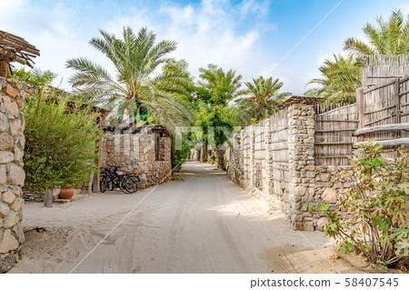 Ziggy Bay Oasis (Oman, Musandam) 58407545