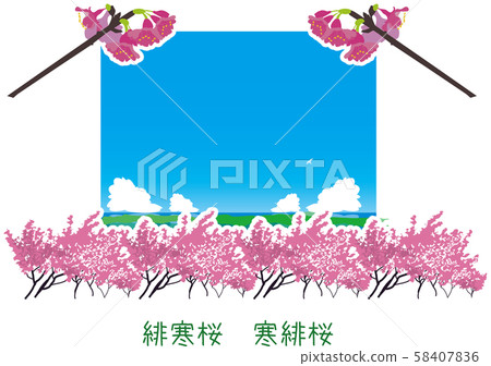 南國Am美櫻花工廠春天一番 58407836