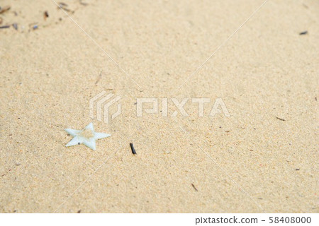 <Amami Oshima> Drifters launched on the coast 9 <Amami Oshima> Drifters launched on the coast 9 58408000