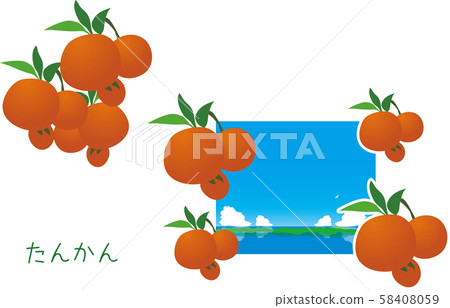 南國Am美短觀植物冬季 58408059