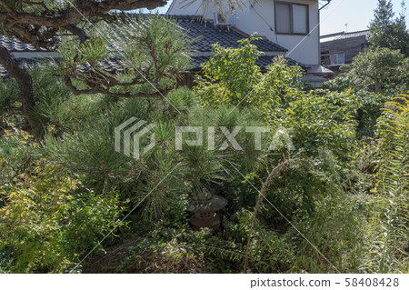 A rough garden A rough garden 58408428