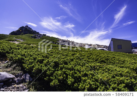 (Nagano) Senjojiki curl, one-sided high pine Norikurakure Jodo, looking at Hokendake (Nagano) Senjojiki curl, one-sided high pine Norikurakure Jodo, looking at Hokendake 58409171
