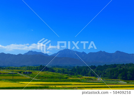Autumn Oyama Autumn Oyama 58409258