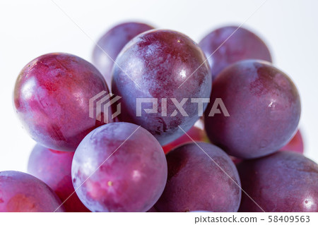 葡萄/先鋒 葡萄/先鋒 58409563