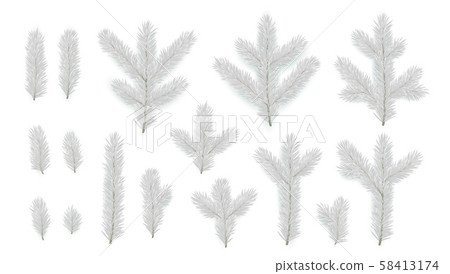 Set of Pine fir silver branches. Spruce branches realistic. Christmas tree Set isolated on white 58413174