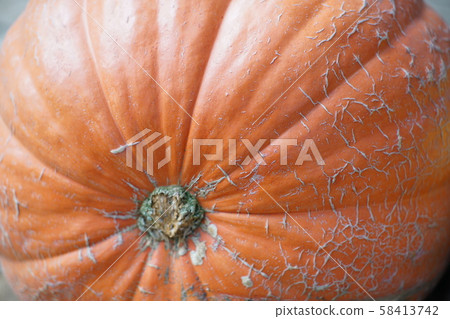 Halloween pumpkin 58413742