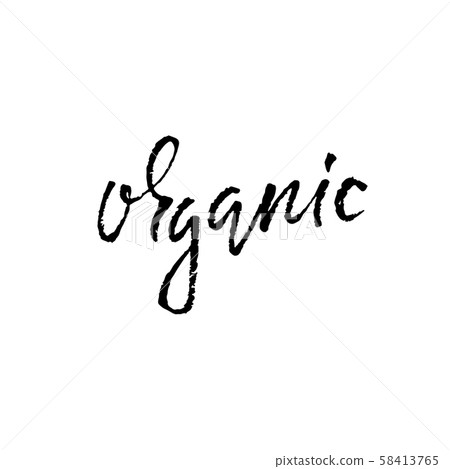 Organic lettering. Handwritten modern dry brush calligraphy. Vector typography banner. Organic lettering. Handwritten modern dry brush calligraphy. Vector typography banner. 58413765