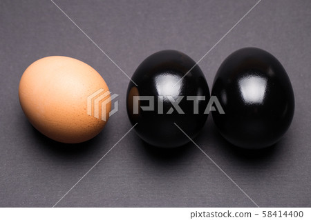 Black and brown egg on a gray background close-up 58414400