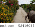 水牛車的風景（大ket島） 58416035