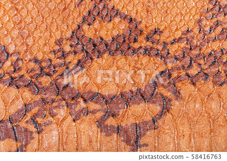 background from snakeskin leather close up background from snakeskin leather close up 58416763
