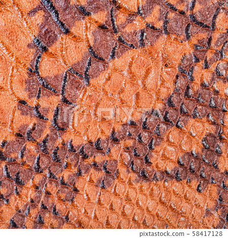 textured square background from snakeskin leather textured square background from snakeskin leather 58417128