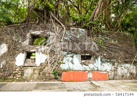 蓮池牆老牆和石牆和榕樹 蓮池牆老牆和石牆和榕樹 58417144
