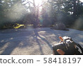 A beautifully landscaped garden and the sun that plugs into the camera 58418197