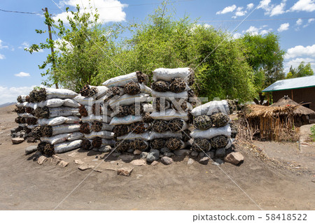Charcoal for Sale, street of ethiopia 58418522