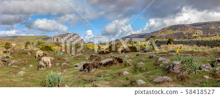beautiful landscape of Bale Mountain beautiful landscape of Bale Mountain 58418527