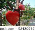 Red hearts hang on a tree. Composition for Valentine's Day. Day of Love. Love as the fruits 58420949