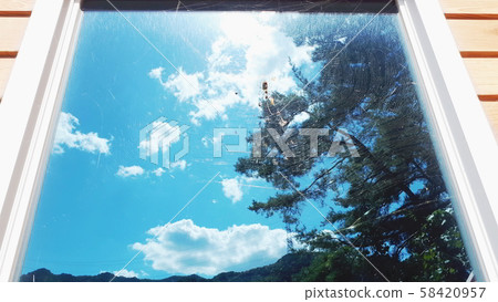 Spider Spider 58420957