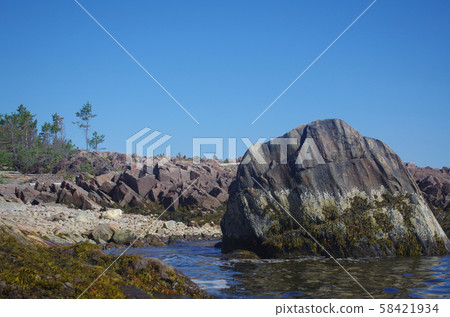 Coast of the White sea 58421934